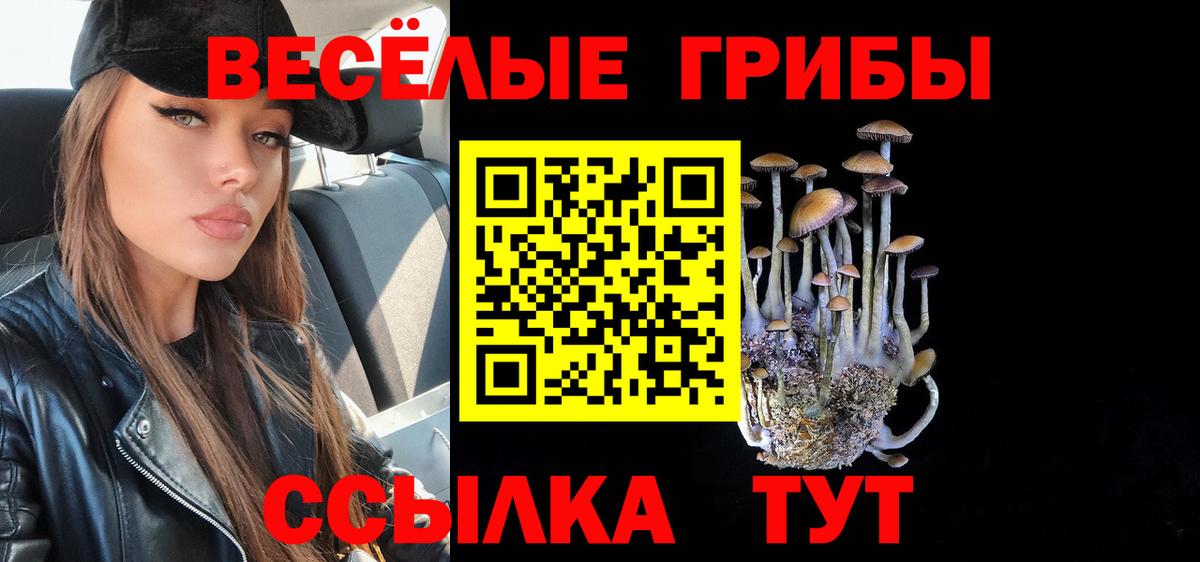 Комсомольск-на-Амуре  Псилоцибиновые грибы ЛСД  Вход с VPN 