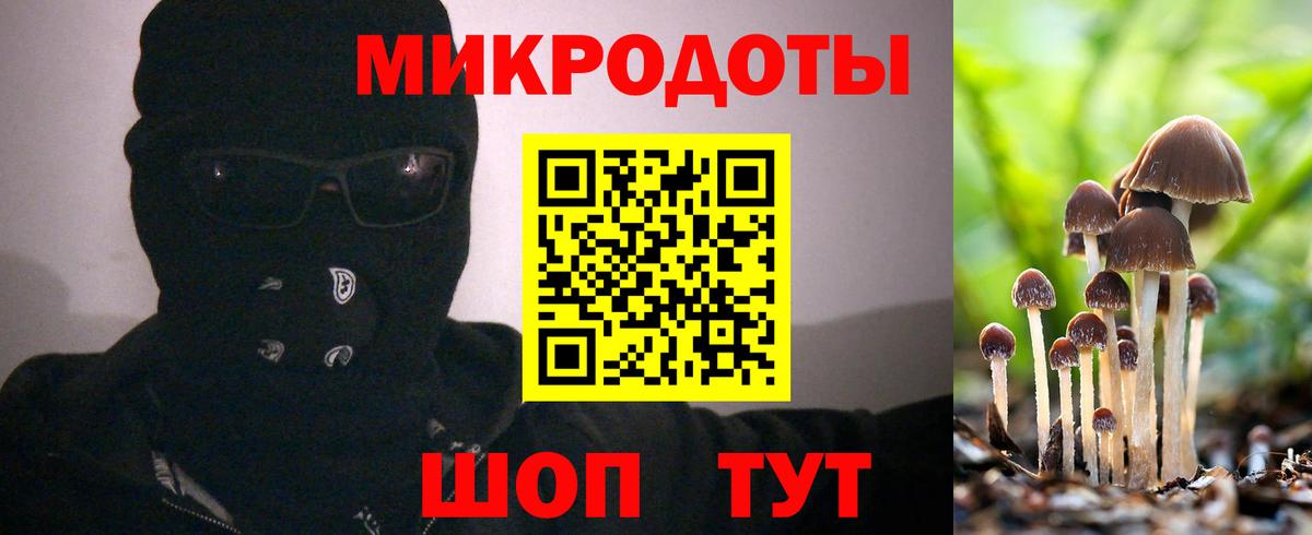 Галлюциногенные грибы Magic Shrooms Комсомольск-на-Амуре